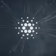 CryptoBrain13