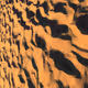 goldennnugget