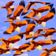 0x922468d0089c0370793bbf52e383745901d13568