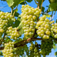 0x922a7d55b2496d6c2adf931ea9fa85c28aa6c9fe