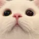 0x925020bf82437c3d37b7ea6a70fb6a70d3983304