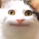 0x925b009ab1676a40d9e3a5f10836e0d2f7d5d6e7
