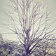 0x926fd3878f203bf2601de540ad0c41828b5a8a0b