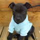 Bailey21au2021