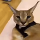 heker