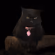 OnyxCat