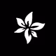 ANEZ_digital