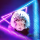 Cryptomonkeyja