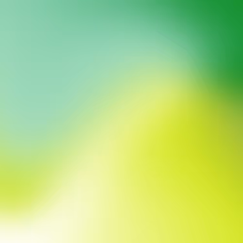 OpenSea banner for @Shoppy