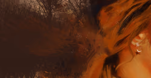 OpenSea banner for @Bard