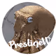 PrestigeW