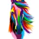 Horses_for_Breeding
