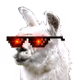 llama6666