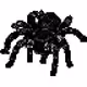 Pixel-Brothers