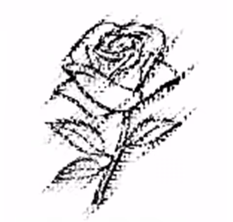 OpenSea profile picture for @rosas