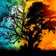 TREEOFLlFE