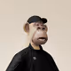 LeCoqNoir