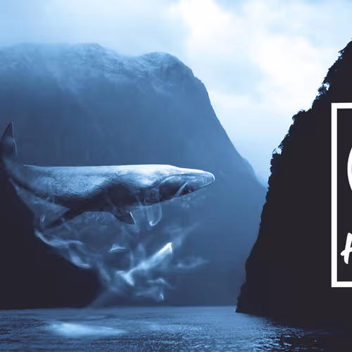 OpenSea banner for @Hayartys