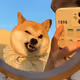 vcghxh