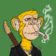 professionalmoneyloserr