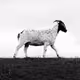Michael_Hartley