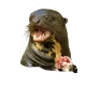 AriranhaPIRIGOSA
