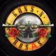 VAULT_Guns_N_Rosas