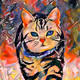 bofithecatsnft