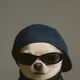 FeelTheBreeze