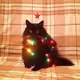 Purrrified