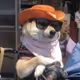 0x94a0f6149e100c8359083502a3d2eed123fc5725