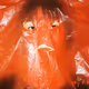 LAOXIEXIE