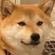 AnayGwet