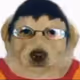 Prysmqw84966