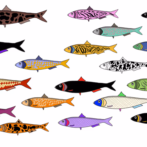 OpenSea banner for @Sardines
