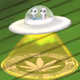 MarijuanaUfo