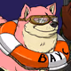 Emin_Dog