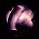 Ghost_Whale