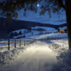 Intothemoonlight