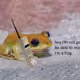 SpaceyBlurr