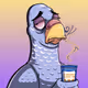 MyPitttheParrot