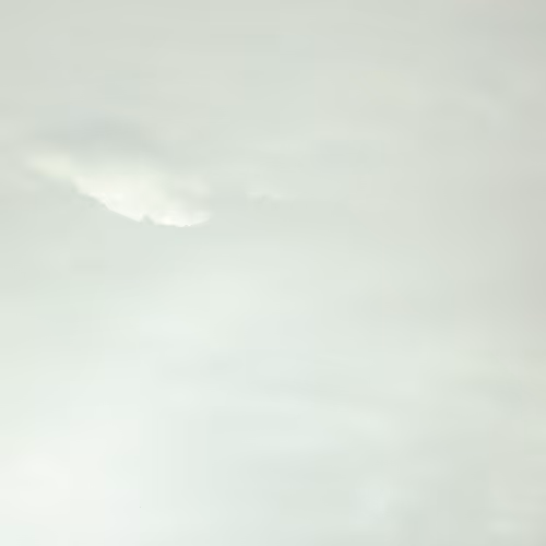 OpenSea banner for @Adaptable