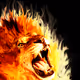 LionFire4260