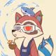 raccoons-maxi