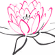 LILLY11