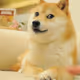 24080
