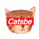 catsbe