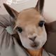 kikilovesmynft