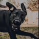 Marc0Corleone
