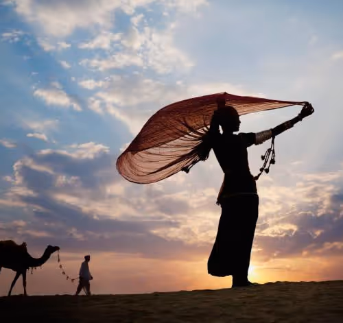 OpenSea profile picture for @RAJASTHAN